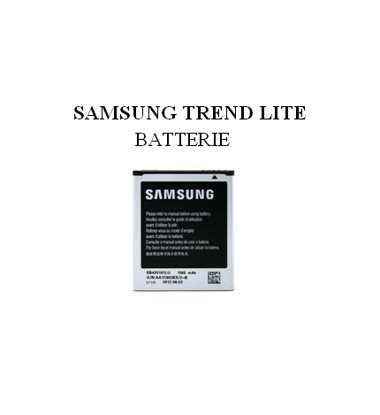 Reparation Batterie Samsung Trend Lite (S7390)